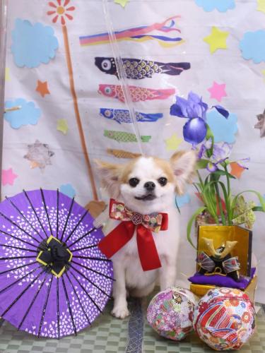 20240518くぅくん